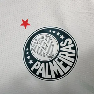 23-24 Palmeiras away long-sleeved 6