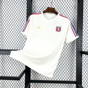 25-26 Lyon 75th Anniversary Special Edition T-Shirt Football Apparels Soccer AAAAJersey Yupoo