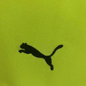 24-25 Dortmund Anniversary Culture Special Edition Green Soccer T-Shirt AAAAJersey Dropship Yup 1