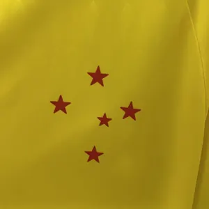 24-25 Cruzeiro Goalkeeper Yellow Kit Soccer T-Shirt AAAAJersey Dropship Yupoo 3