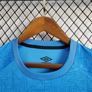 24-25 Gremio Training Shirt Football AAAAJersey Yupoo 3