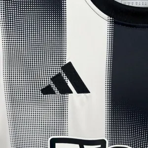 25-26 Newcastle Home Kit Football T-Shirt AAAAJersey Yupoo 6