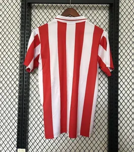 25-26 Olympiacos 100th Anniversary Kit Football T-Shirt AAAAJersey Supply Yupoo 3