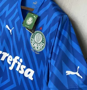 24-25 Palmeiras Goalkeeper Blue Kit Football Replicas Yupoo 4