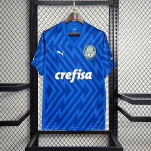24-25 Palmeiras Goalkeeper Blue Kit Football Replicas Yupoo