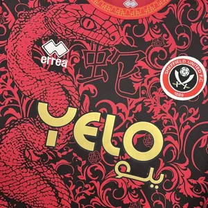 24-25 Sheffield United Special Edition Shirt Football Uniforms AAAAJersey Dropship Yupoo 4