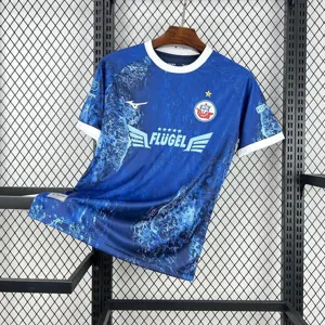 25-26 FC Hansa Rostock Baltic Sea Special Edition Shirt Football Uniform AAAAJersey Wholesale Y