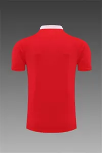 Polo Ajax red 9