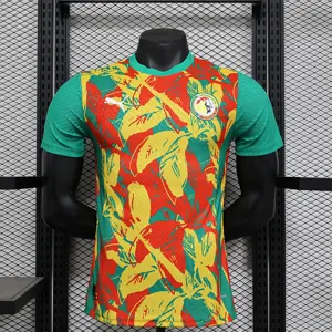 24-25 Ivory Coast Pre-match Kit Player Version Shirt Soccer AAAAJersey Yupoo