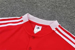 Polo Ajax red 7