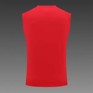22-23 Ajax vest training suit kit Red 18