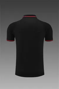 Polo Ajax black 17