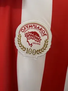 25-26 Olympiacos 100th Anniversary Kit Football T-Shirt AAAAJersey Supply Yupoo 6