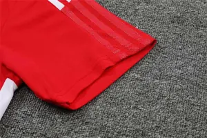 Polo Ajax red 19