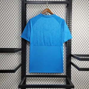 24-25 Gremio Training Shirt Football AAAAJersey Yupoo 4
