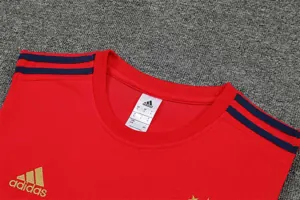 22-23 Ajax vest training suit kit Red 8
