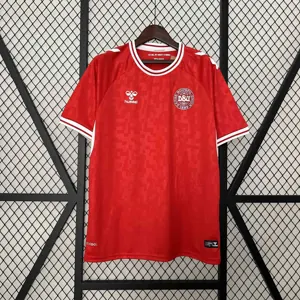 2024 Denmark Home Kit UEFA Euro Shirt Football Replicas Yupoo
