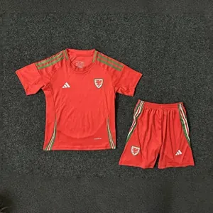 2024 Wales Home Kid Kits Children Sets Football AAAAJersey Yupoo