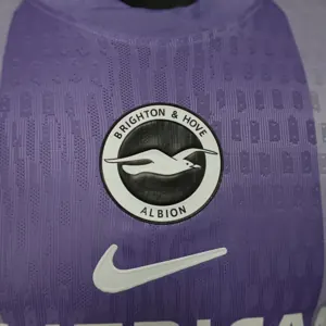 25-26 Brighton Away Kit Player Version Summer Shirt Sport AAAAJersey Yupoo 3