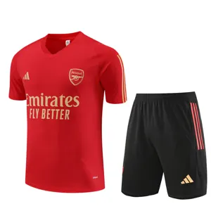 23-24 Arsenal Training Soccer Jerseys Yupoo