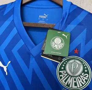 24-25 Palmeiras Goalkeeper Blue Kit Football Replicas Yupoo 5