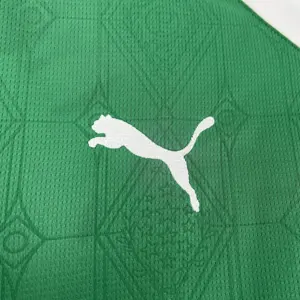25-26 Palmeiras Home Kit Soccer T-Shirt AAAAJersey Dropship Yupoo 4