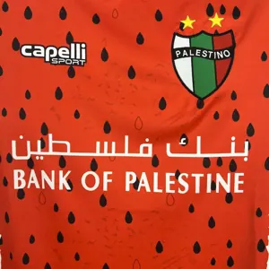 25-26 Palestino Fourth Shirt Football Uniform AAAAJersey Yupoo 4