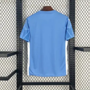 25-26 Palmeiras Blue Goalkeeper Kit Soccer T-Shirt AAAAJersey Yupoo 2