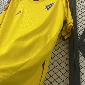 24-25 Atlético Mineiro Goalkeeper Yellow Kit Soccer T-Shirt AAAAJersey Dropship Yupoo 3