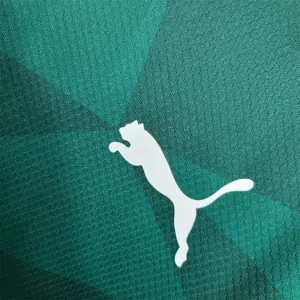 23-24 Palmeiras home long-sleeved 3