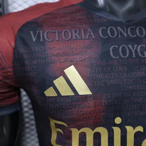 26-27 Arsenal Mens Special Edition Kit Player Version Soccer T-Shirt AAAAJersey Supply Yupoo 6 4