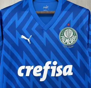 24-25 Palmeiras Goalkeeper Blue Kit Football Replicas Yupoo 6