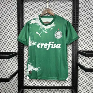 24-25 Palmeiras For a Greener Future Special Edition Kit AAAAJersey Supplier Yupoo