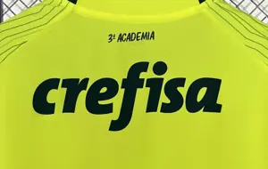 23-24 Palmeiras Third Away S-4XL Soccer Jerseys 4
