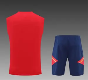 22-23 Ajax vest training suit kit Red 13