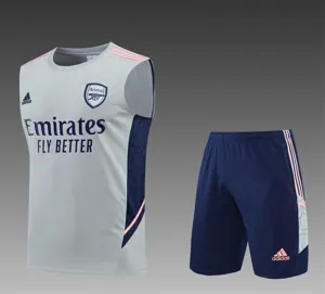 22-23 Arsenal vest training suit kit Grey