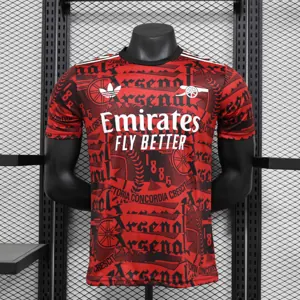 24-25 Arsenal Red Special Edition Player Version Shirt AAAAJersey Supplier Yupoo