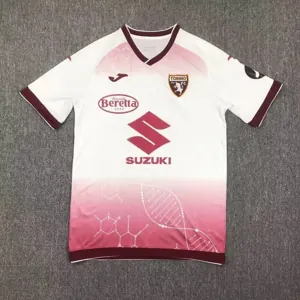 24-25 Torino Training Shirt Football Apparels Soccer AAAAJersey Yupoo