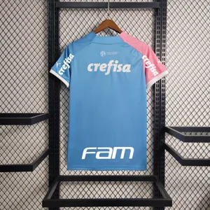 23-24 Palmeiras Special Edition Pink&Blue S-4XL Cheap Soccer Jerseys 1