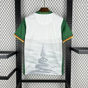 2025 Cameroon Third Shirt Football Uniform AAAAJersey Supply Yupoo 5