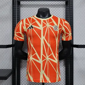 24-25 Bayern Munich Pre-Match Kit Player Version Shirts Football AAAAJersey Yupoo