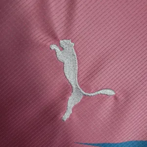 23-24 Palmeiras Special Edition Pink&Blue S-4XL Cheap Soccer Jerseys 4