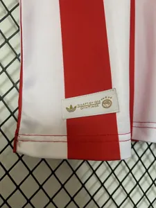 25-26 Olympiacos 100th Anniversary Kit Football T-Shirt AAAAJersey Supply Yupoo 4