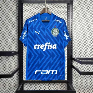 24-25 Palmeiras Goalkeeper Blue Kit Football Replicas Yupoo 3